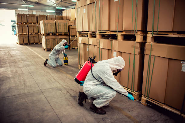 Best Bed Bug Extermination  in Louisa, KY